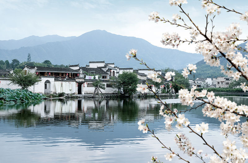 商品房|农村宅基地严格执行一户一宅，在城里买房的，会收回农村宅基地吗