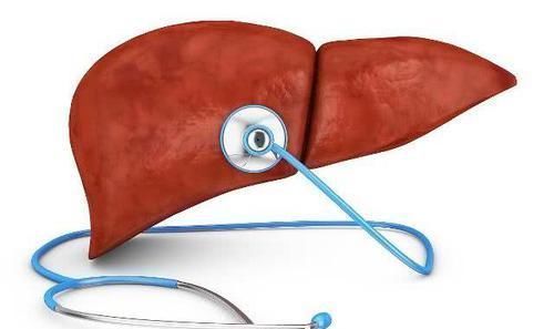 常吃|养肝就是养健康,这3种食物每天换着吃,肝或许会“舒服”一些