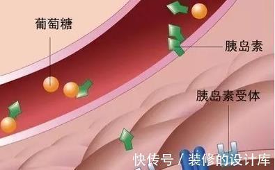 血糖监测|糖尿病人如何日常降血糖?牢记以下“五点”,轻松就能稳住血糖