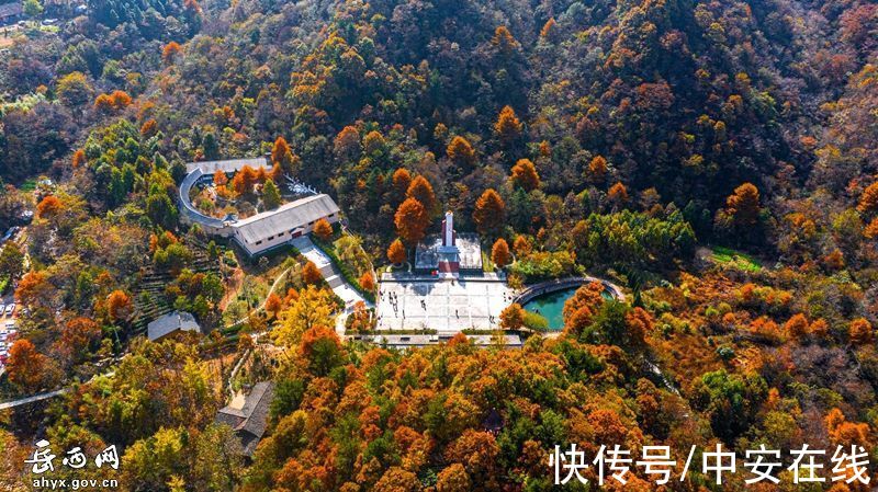 大别山|“岳西红”，大别山迎来绝美秋景