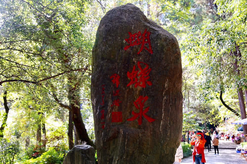 大理三月好风光，蝴蝶泉边再相聚，我的第二次大理蝴蝶泉之旅