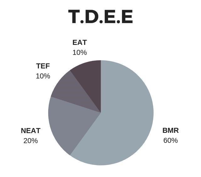 高晓松26天减重26斤,网友怎么减肥,才让矮