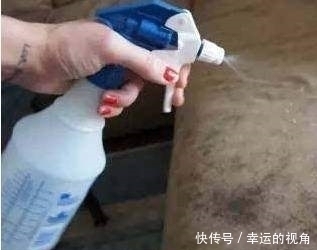 床垫用久了螨虫成窝只要用它喷一喷,不用晒太阳,轻松去螨虫