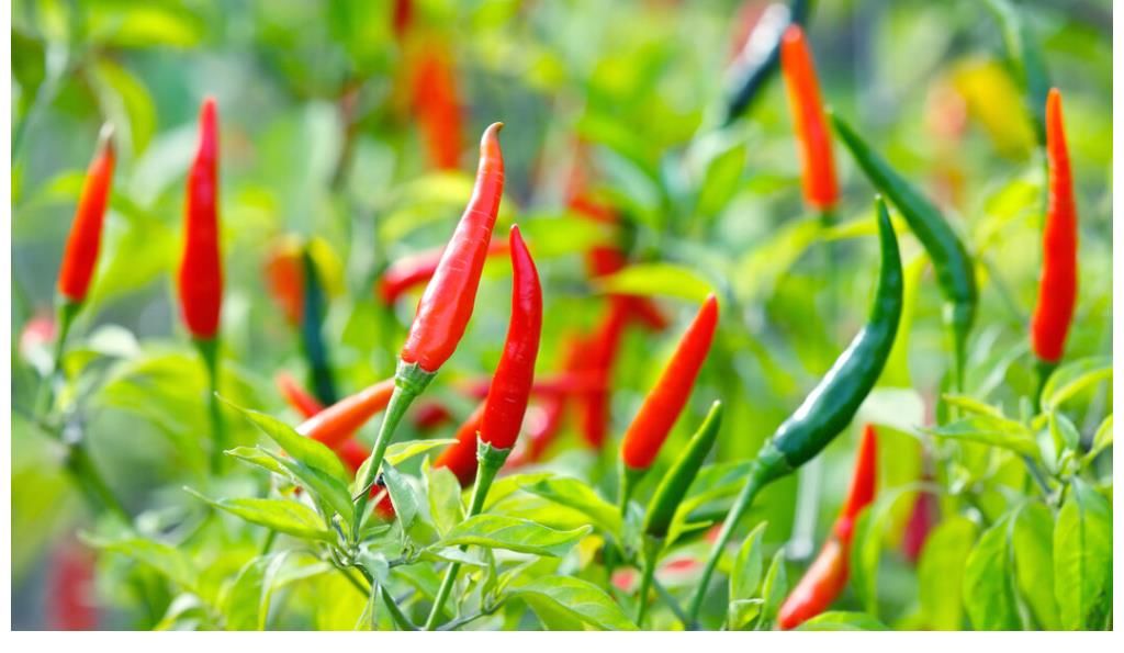 抵抗力|母女两人相继查出宫颈病变，医生直言：1种汤喝太多了，早该倒掉