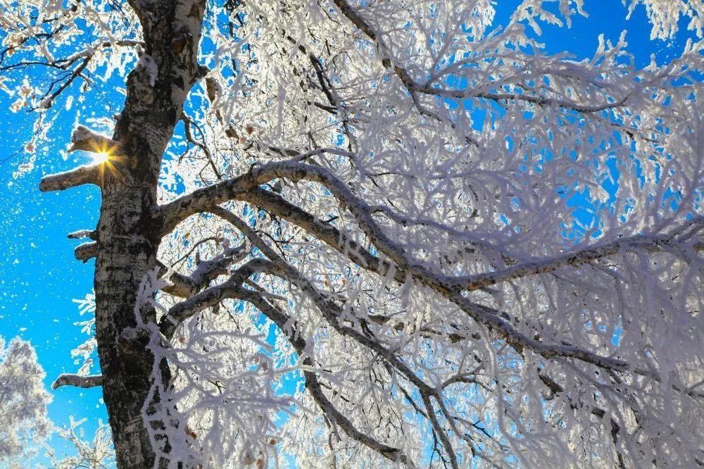 冬日的乌兰布统尽享魅力的雪国风光|推荐 |冬日的乌兰布统尽享魅力的雪国风光\＂,\＂i12\＂:\＂推荐