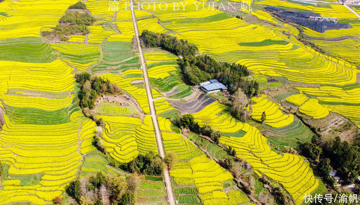 高黎贡山|中缅边境有片15万亩的花海，不逊罗平婺源，无需门票却鲜为人知