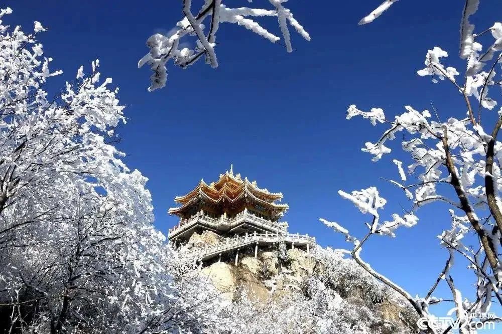 走进|抖音火爆的云端仙境老君山，走进“中国第一古刹”白马寺，打卡千年古都！