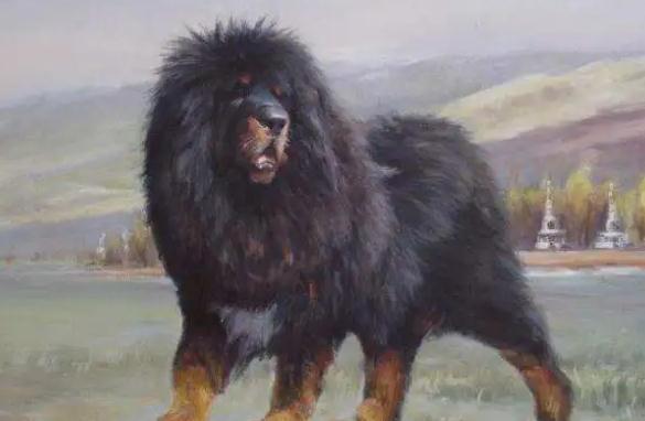 泥瓦匠$故事:丈夫出差三年妻子独居,回来见黑狗越来越胖,原因羞于启齿