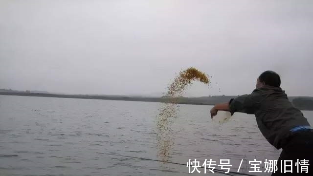 只要这么做,偷驴也能快速聚鱼、快速发窝