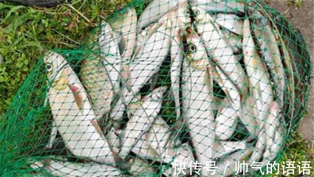 鱼钩|民间手竿钓翘嘴绝杀钓法:鸡蛋糊糊包食钓,钓大翘嘴很给力!