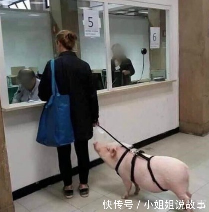 |幽默笑话：我是驾校教练，每期带的学员都会出现几个奇葩