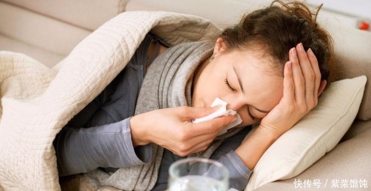 兩種人吃枸杞有副作用!