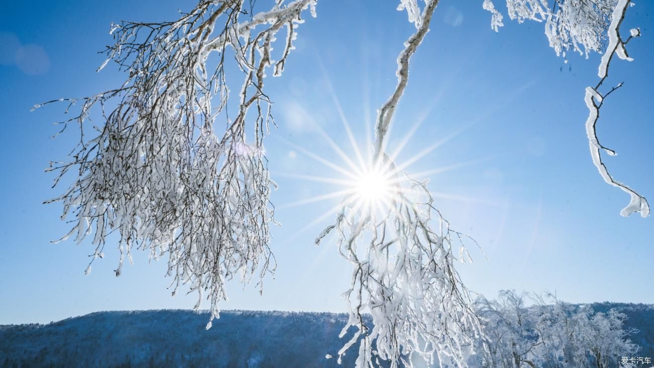 老年|在寂静雪原 遇见雪花真实的形状