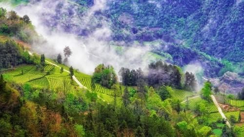 鹤峰金山村：隐藏在山水诗卷中的小山村