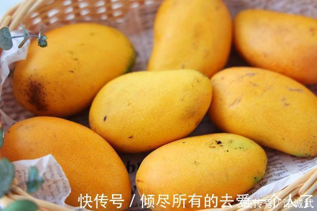 大台农|芒果大“比拼”，贵妃芒、金煌芒、台农芒到底哪个更好吃？