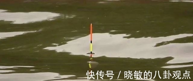 秋钓大鲫鱼7大招式，让爆护来得更容易些！