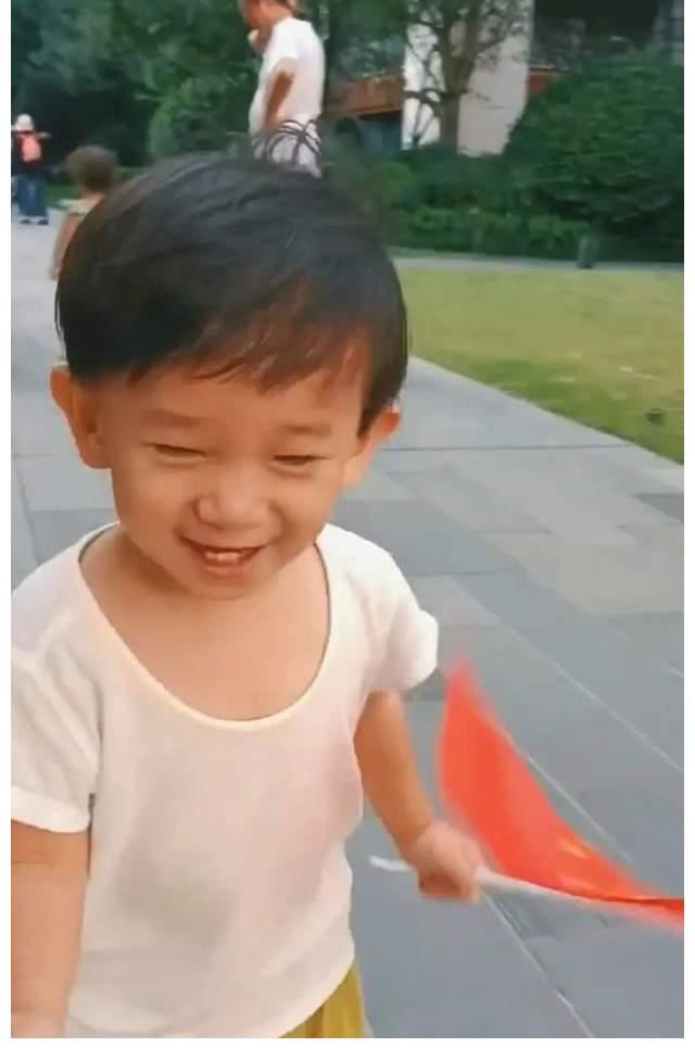 夫妇俩|爱国先锋!陈小春1岁半小儿子正面照曝光,手执国旗开心挥舞狂奔