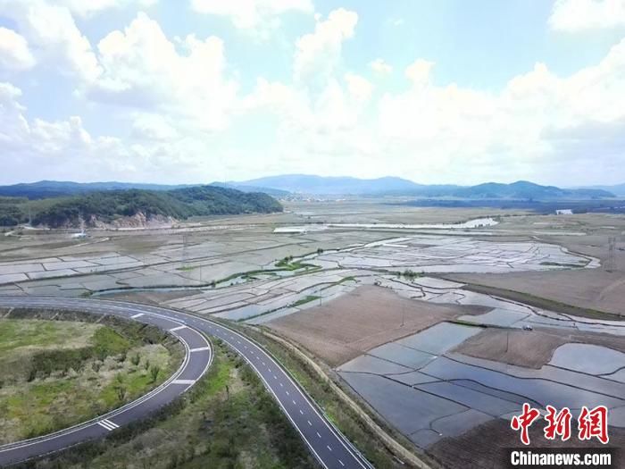 摄高速|芒种时节航拍稻米之乡：绿色秧苗初长成