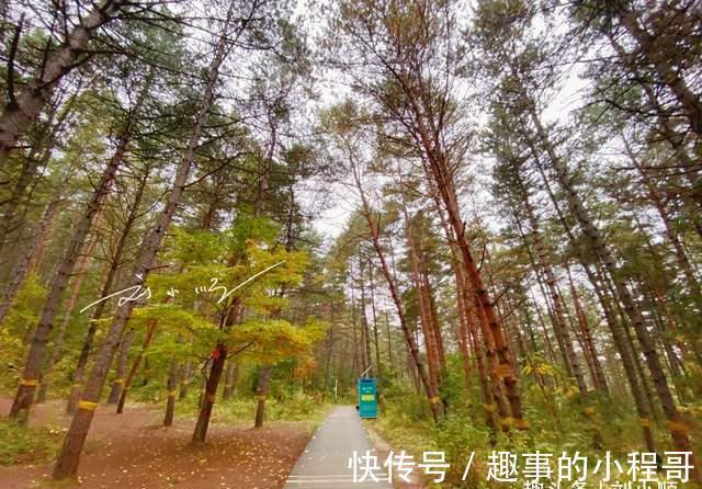 延吉市|吉林延吉的4A级景区，还是国家森林公园，免费开放却没什么游客