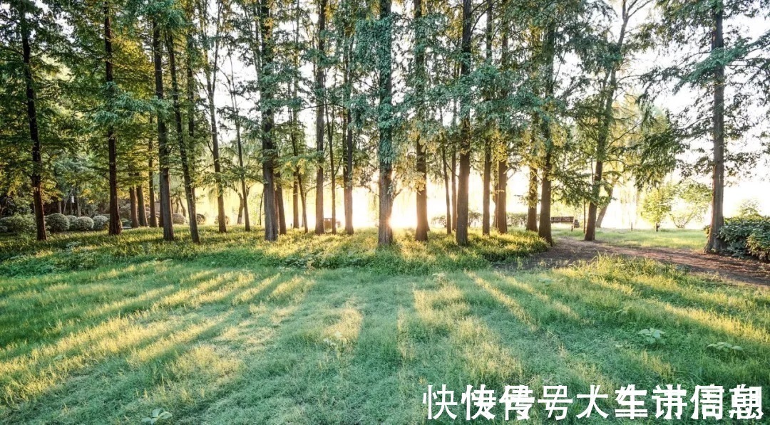 净慧法师&净慧法师:佛法并不是高深的哲学,而是朴实的做人道理