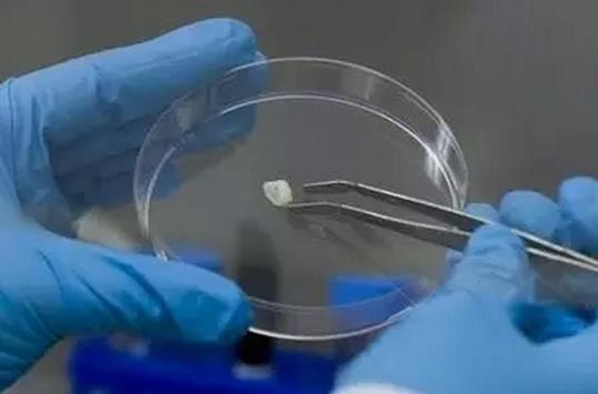 咸鱼翻身|越来越多父母为孩子储存乳牙,爸爸妈妈们,可别再扔掉它