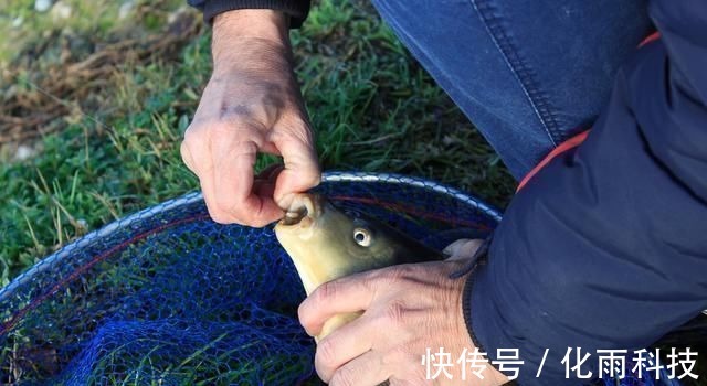 实用钓鱼技巧分享,掌握这些一准不吃亏,对提升渔获帮助很大