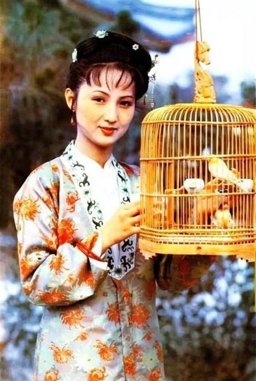 标准|按现在的审美标准,《红楼梦》里谁最入您的眼?