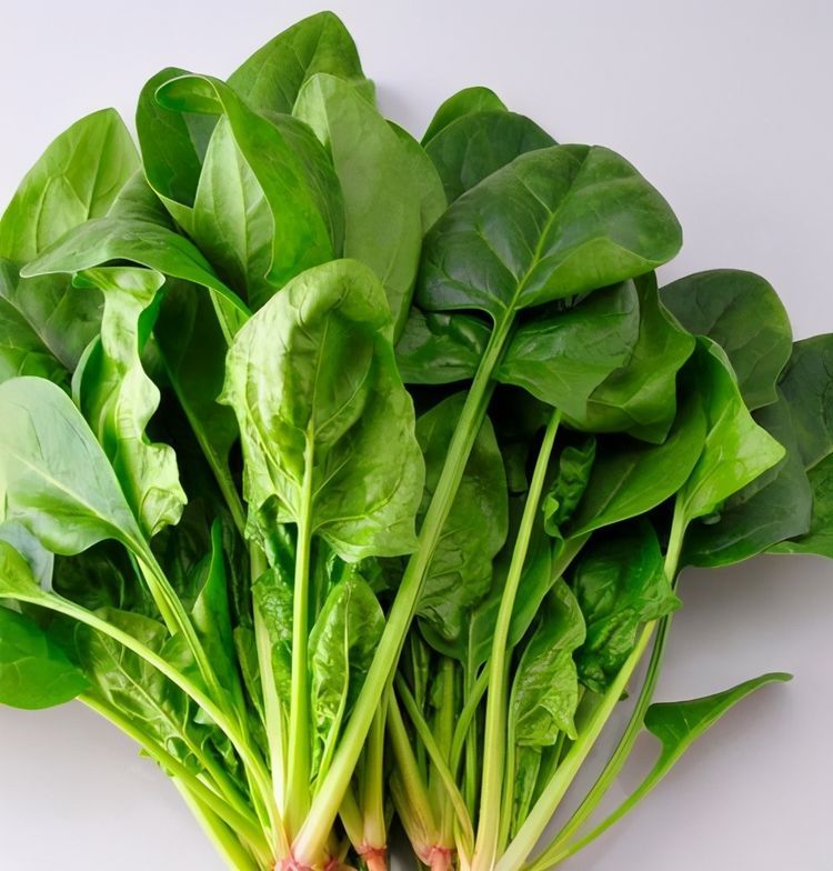 漂亮女人爱吃的3种食物,清理身体垃圾毒素,养颜抗衰老