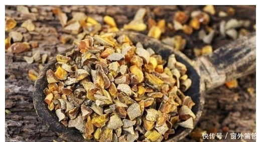 火头根|这种植物被称为“药用黄金”,可清热解毒,延伸品更是畅销海外