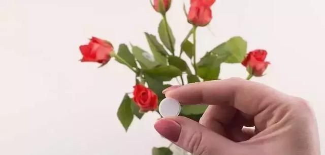 花盆|这些过期的药片丢花盆里,花像吃了兴奋剂,猛长叶狂开花