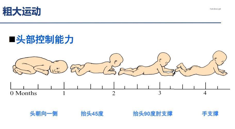 【科学养育】宝宝生长发育时间表，看看你家宝宝达标了没