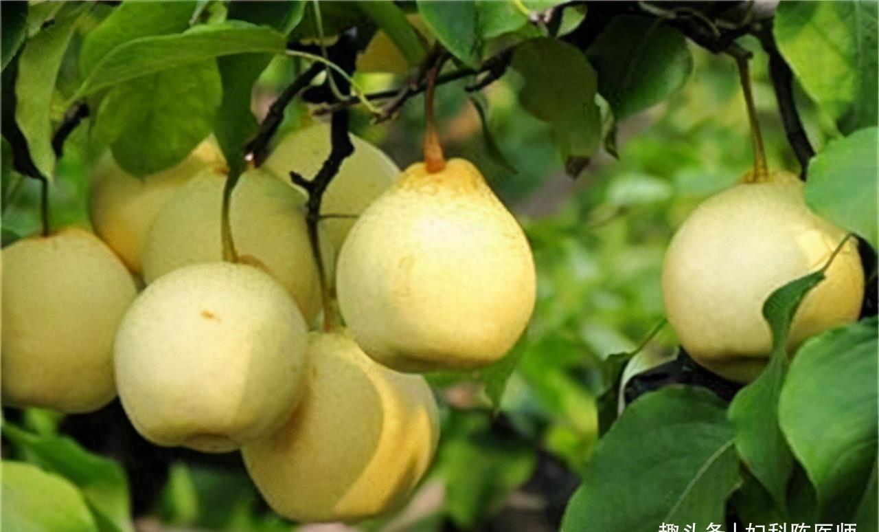 改善|会吃的人更健康,3种食物吃一吃,改善体质,好处多多