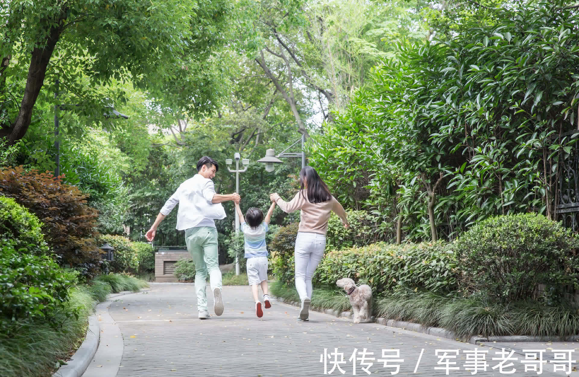 父母|如果有一天,你内心容不下自己的父母,建议多看看这篇文章