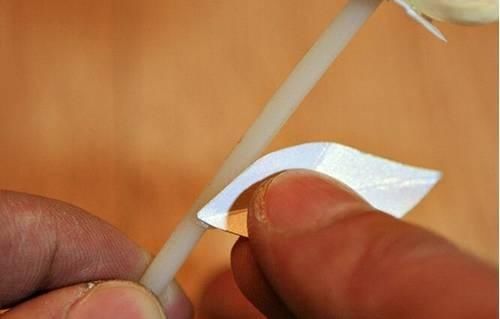 保证|吃完的坚果不能丢,坚果壳变身记,保证创意一箩筐