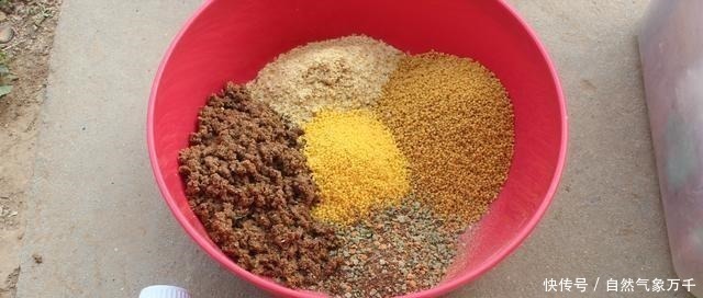 药酒|都说酒米钓鱼好用，但学会搭配以后，这3种选择会上鱼更多