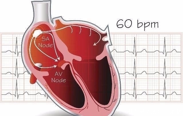 胸闷气短|心脏有问题的人,睡觉时一般会出现4个情况,一个也别忽视