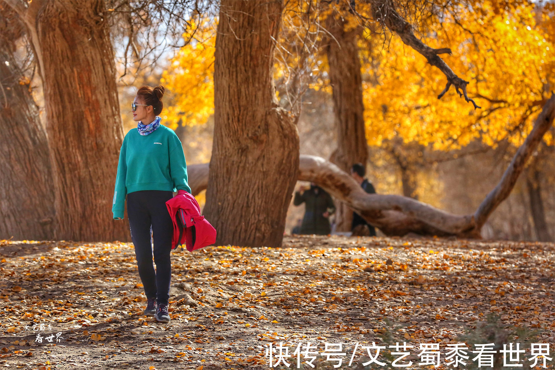 额济纳旗|额济纳旗胡杨要变得金黄了，错过了就要再等一年，找个人陪你去吧