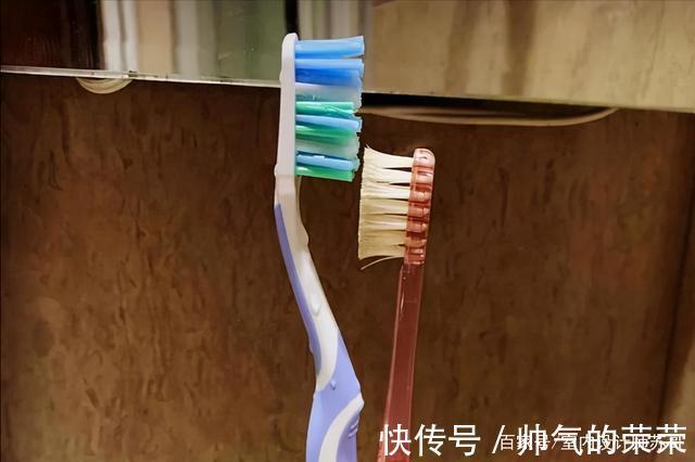 菜板|再节俭,也要勤更换的4样东西,别为了“省钱”影响生活