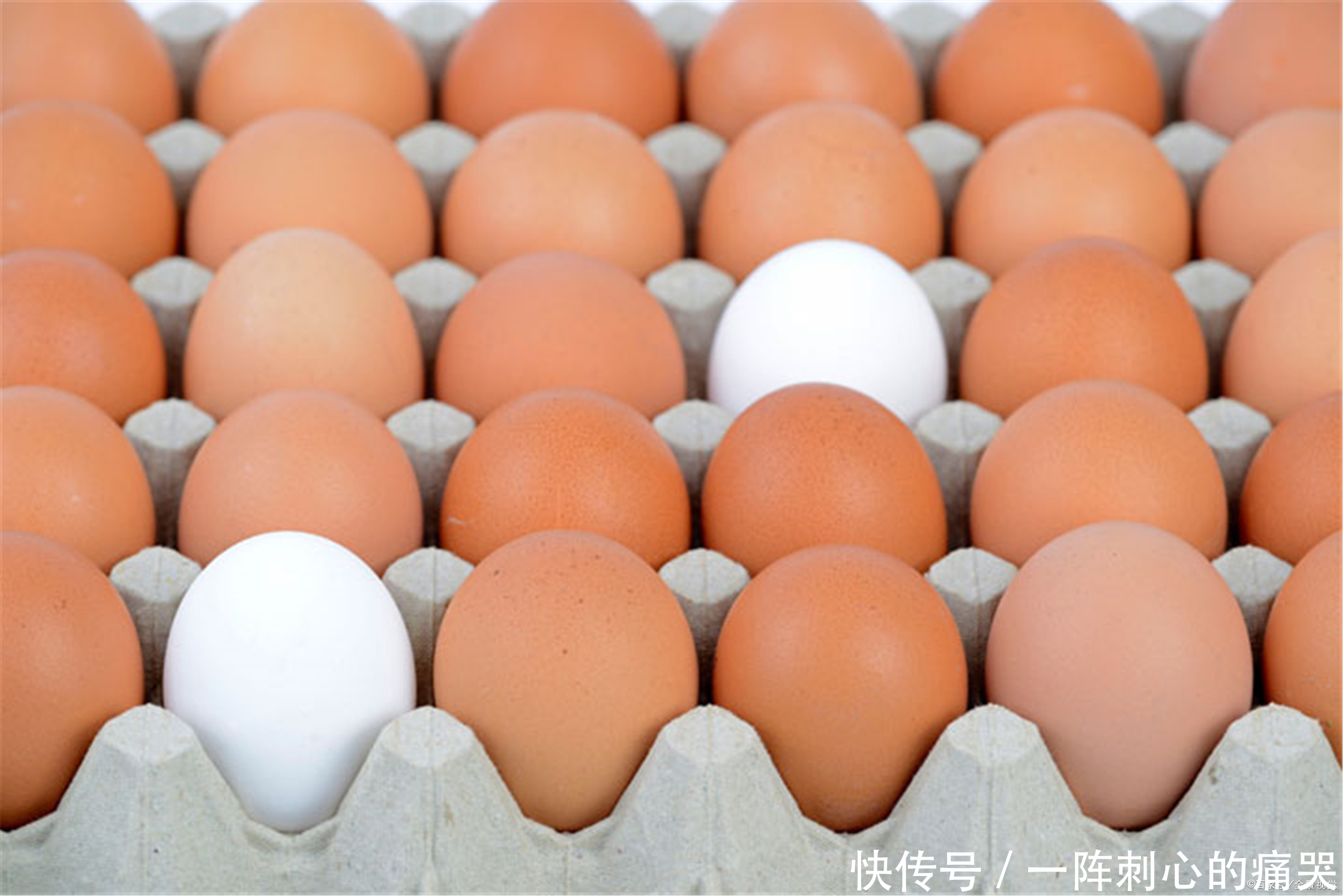 冰箱|保存鸡蛋放冰箱是不对的,分享2个方法,3个月照样新鲜不变坏