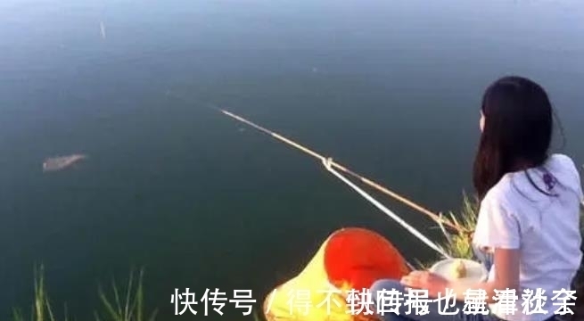 竿尖|怎么也没料到，热天用这两种钓法“招待”鲫鲤鱼，鱼获多到拎不动