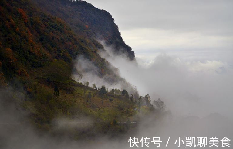 彩林|平武有座山红透了！山上这条云端上的彩林公路秋色如画