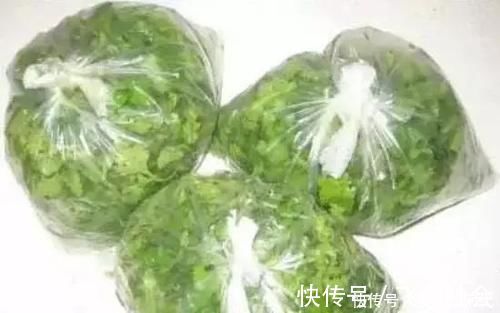 大厨|储存香菜，别再放冰箱了！20年大厨教你，放再久都不坏，翠绿新鲜！