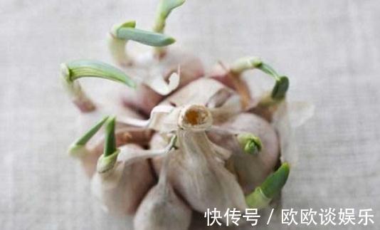 花生|此种食物发芽后,不仅没毒,营养价值还翻倍,很多人不清楚