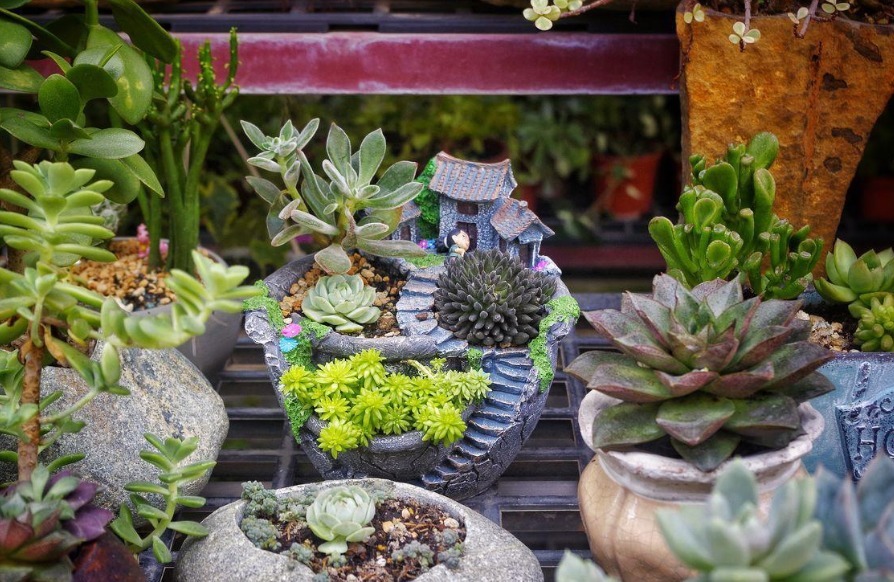 换盆加点坚果壳,提前这么弄,养花土变排水性好,肥力十足