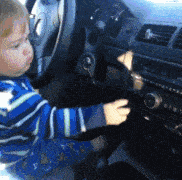 |搞笑GIF:哈哈太蠢了,被自己的尾巴吓了一跳