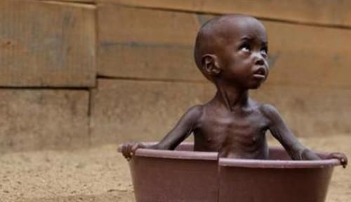 宠溺孩子|6岁胖墩儿猛吃饺子，可爱背后藏着隐患，网友：多吃点，娃瘦了