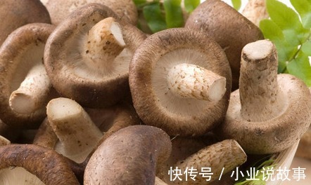 香菇|春天的“蔬菜之王”,十几元一斤也要买,常吃受益全家人
