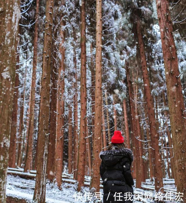 冬季探访成都崇州鸡冠山，宛若中世纪原始森林雪原！