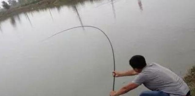 怪不得老钓手一字不透露,原来热天的鱼都藏在这,白钓二十年鱼