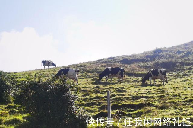 醉夕阳$「七绝·醉夕阳」知秋木叶遍山黄，宠辱偕忘醉夕阳